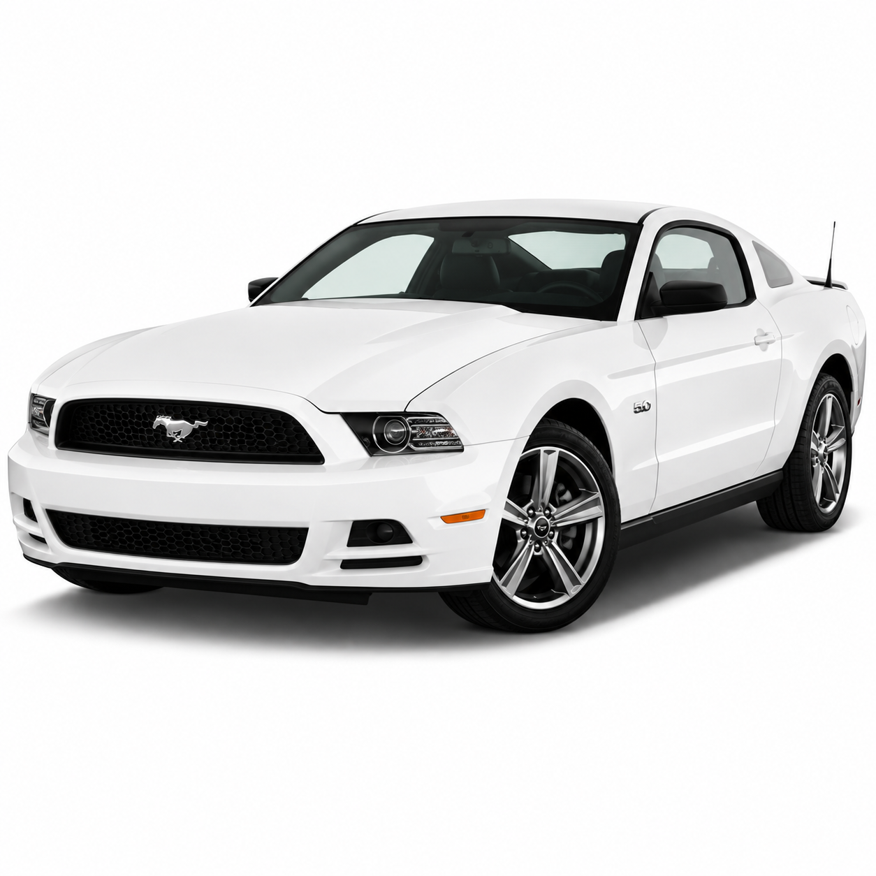 13-14 Mustang GT/SVT