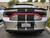 Smoked Tail Light Insert Overlays Tint (15-18 Charger)