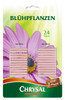 CHRYSAL Blühpflanzen - 1