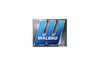 WALBRO Vergaser HDA-86B - 2