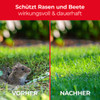 PROTECT HOME Wühlmaus-Köder 12 x 90 g - 3