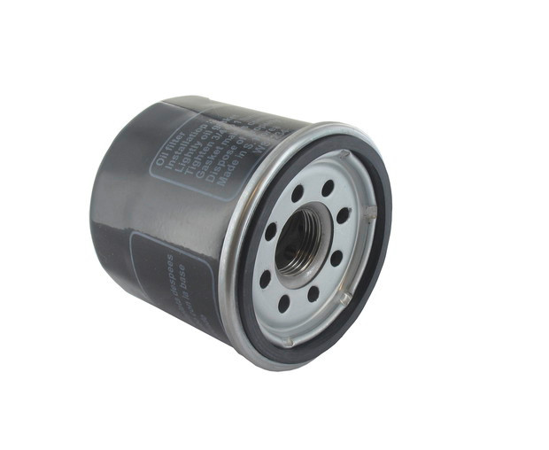 Ölfilter ersetzt LONCIN 150350046-0002 - 1