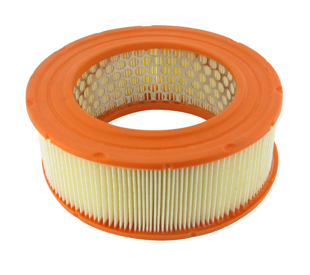 Luftfilter passend für AGRIA - 1
