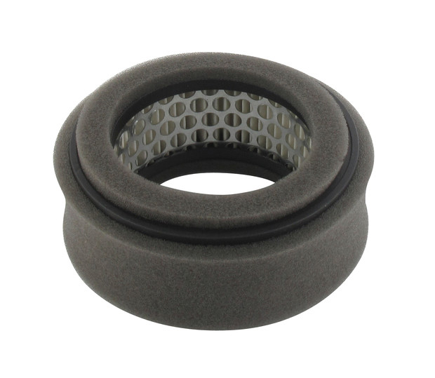 Luftfilter passend für ROBIN - 1