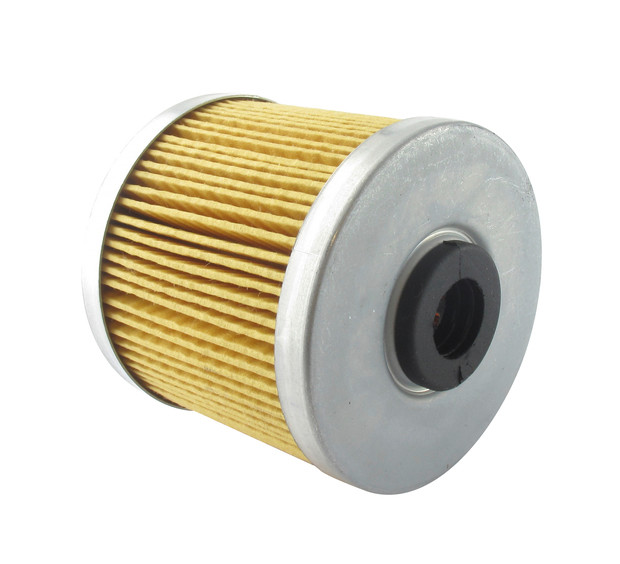 Dieselfilter passend für AGRIA / LOMBARDINI - 1
