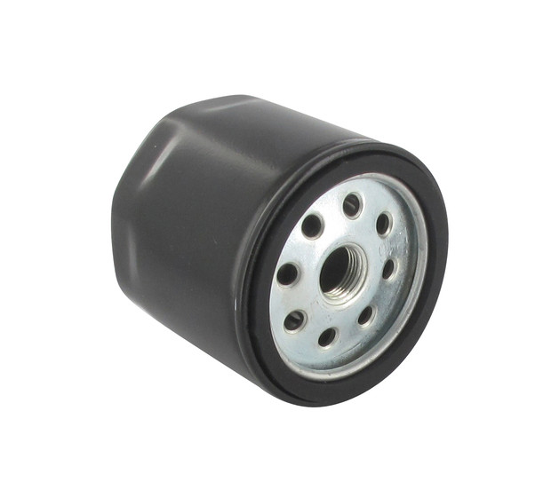Dieselfilter passend für ACME / LOMBARDINI - 1
