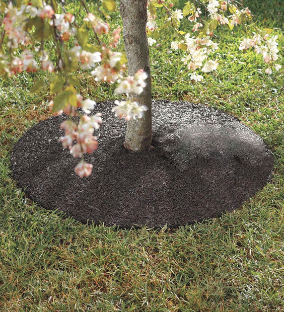 Baumschutzmatte 60 cm - 2