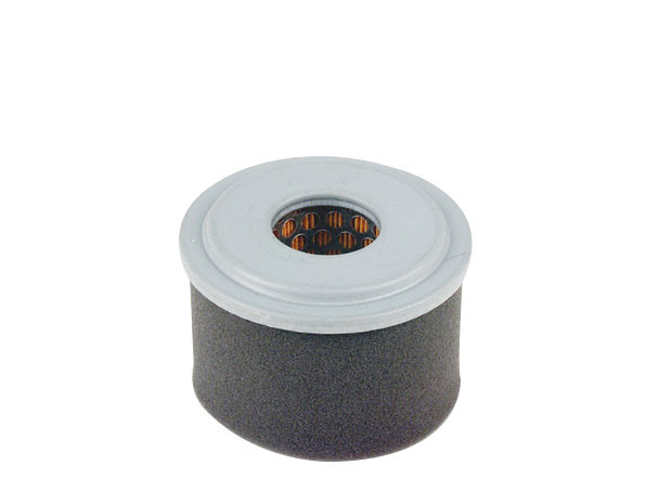 Luftfilter (rund) ersetzt ROBIN 227-32803-17 - 1