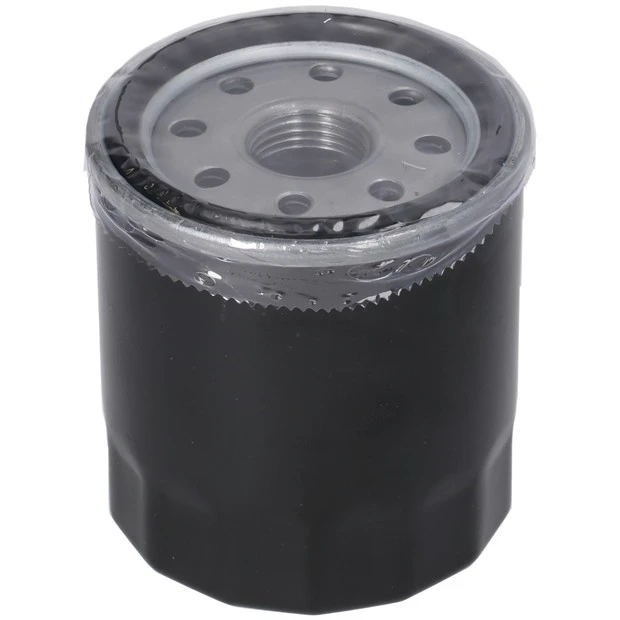 Ölfilter ersetzt B&S 692513 - 1