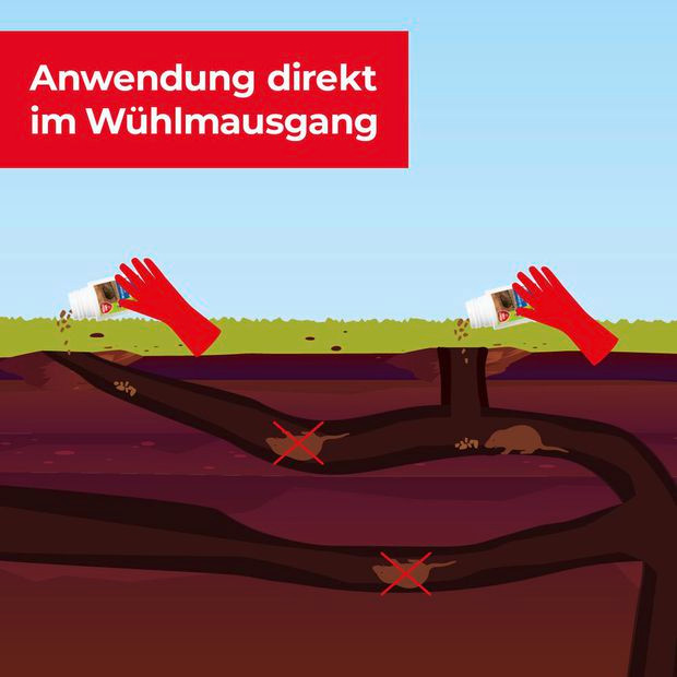 PROTECT HOME Wühlmaus-Köder 12 x 90 g - 4