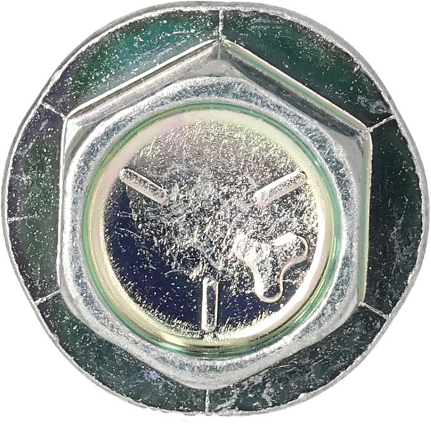 B&S Schraube 698139 - 2