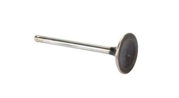 B&S Auslassventil 792868 - 1