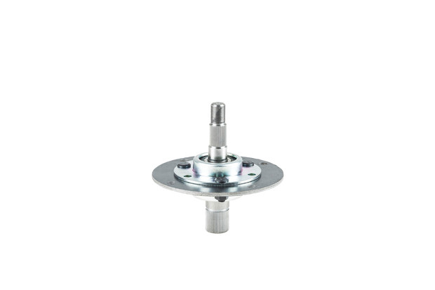 Messerspindel - 1