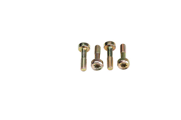 Schraube M5 x 16 - 1