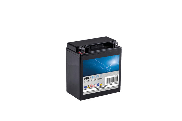 PRO POWER Batterie AGM 12 V / 14 Ah - CCA 230 A - 1