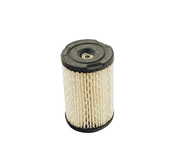 Luftfilter (rund) ersetzt TECUMSEH 34700 - 1