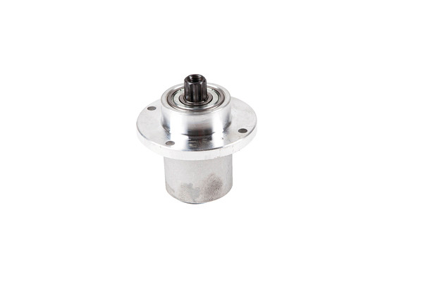 Messerspindel - 1