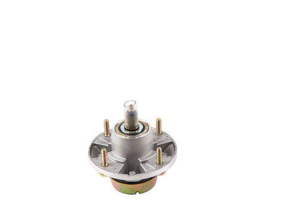 Messerspindel - 2