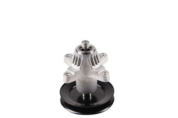 Messerspindel - 2