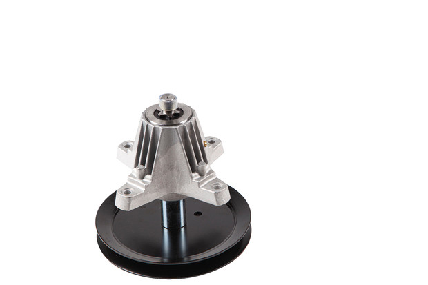Messerspindel - 2