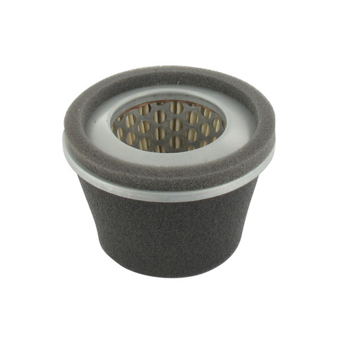 Luftfilter passend für ROBIN - 1