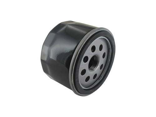 Ölfilter ersetzt B&S 798576 - 1