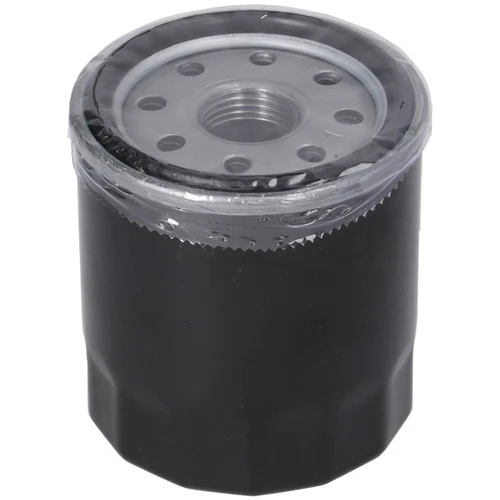Ölfilter ersetzt B&S 692513 - 1