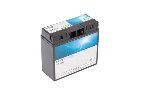 PRO POWER Batterie AGM 12 V / 18 Ah - CCA 150 A - 1