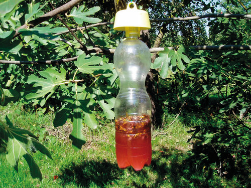 TAP-TRAP Insektenfalle - 3