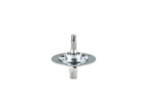 Messerspindel - 1
