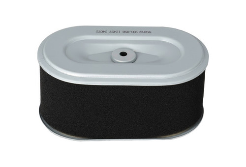 Luftfilter (oval) ersetzt ROBIN 279-32607-17 - 1