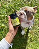 cute dog and natural supplement for dog's skin & fur