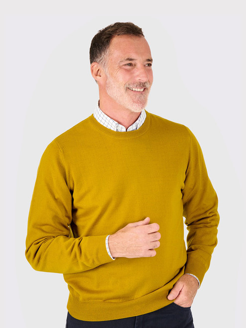 Men's Gold Yellow Merino Wool Crew Neck Jumper On Model