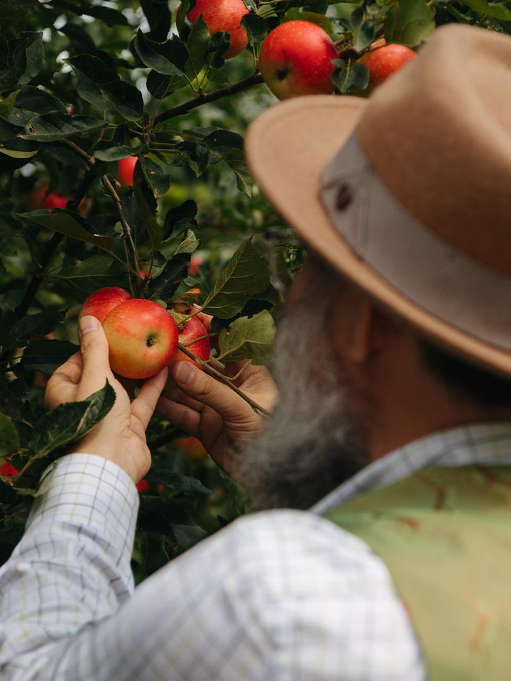 Bignose & Beardy Signature Look - Steve Picking Apples