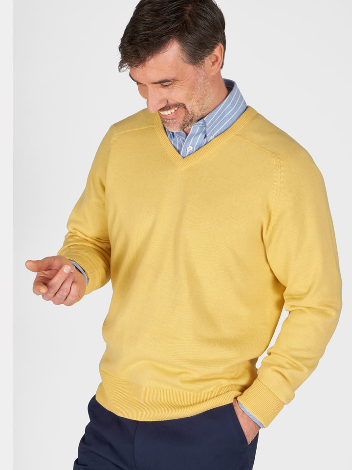 Lemon cotton v neck jumper