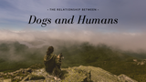 Relationship between Dogs and Humans