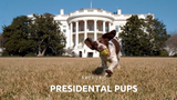 America's Presidential Pups