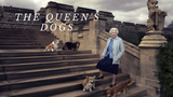 The Queen's Dogs