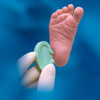 BD 368101 MICROTAINER QUIKHEEL LANCET