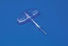 CARDINAL HEALTH 8881245164 MEDICAL SUPPLIES MONOJECT 1-TYPE STERNAL ILIAC ASPIRATION NEEDLE