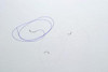 ETHICON Z493G PDS II (POLYDIOXANONE) SUTURES