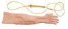 Skin/Vein System