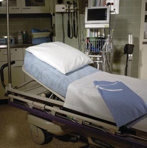 GRAHAM MEDICAL 49896 PREMIUM STRETCHER SHEETS
