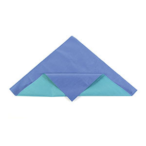 CARDINAL HEALTH SMS TWO-COLOR OR SINGLE LAYER STERILIZATION WRAP CH6G0048
