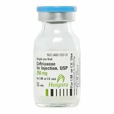 CEFTRIAXONE SDV 250 MG