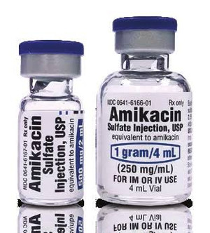 HIKMA PHARMACEUTICALS INJECTABLES