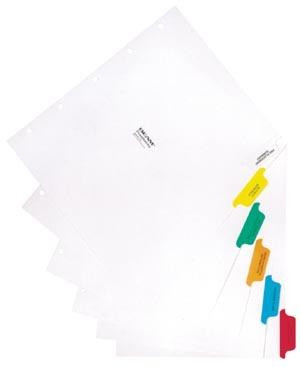 OMNIMED 221001 BEAM ECONOMY CUSTOM PAPER DIVIDER SETS