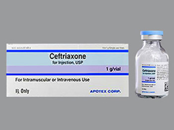 CEFTRIAXONE 1 GM 60505-6148-04