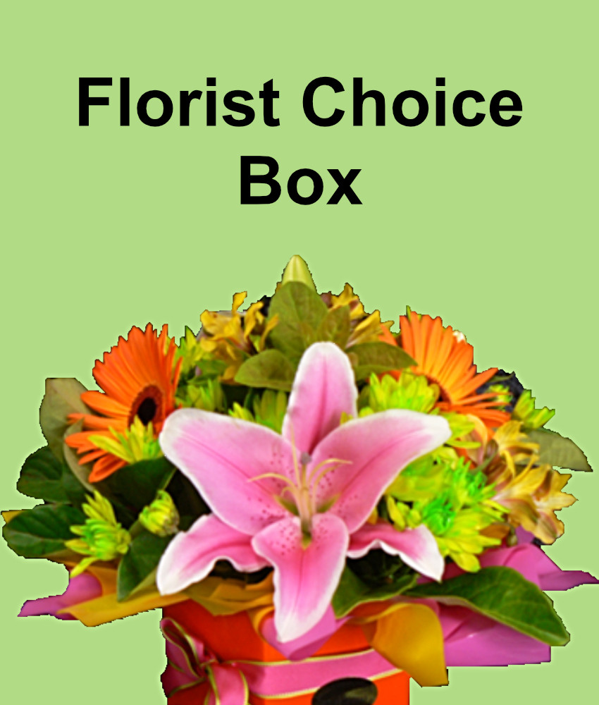 Florist Choice Box Arrangement Jan's Flower Shoppe
