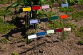 C-Series painted replacement plates in assorted colors – designed to fit standard C-Series garden marker wire legs. Durable, weather-resistant finish for color-coded or decorative plant labeling. Made in the USA and ideal for organizing herbs, flowers, and vegetables in any garden setting. C-Series painted replacement plates in assorted colors – designed to fit standard C-Series garden marker wire legs. Durable, weather-resistant finish for color-coded or decorative plant labeling. Made in the USA and ideal for organizing herbs, flowers, and vegetables in any garden setting.